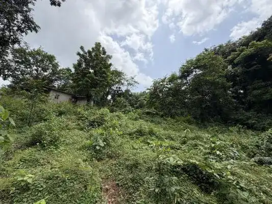 1,740 Sq. m. Residential Plot, Porvorim