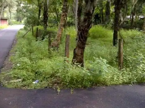 2,000 Sq.m Residential Plot in Calangute