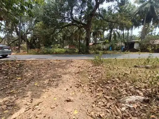 250 Sq.m Residential Plot for sale in Calangute