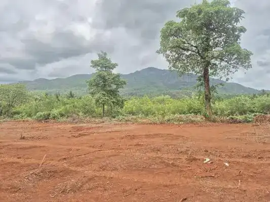 1750 Sq. Meter Residential Plot for Sale in Candolim, Goa