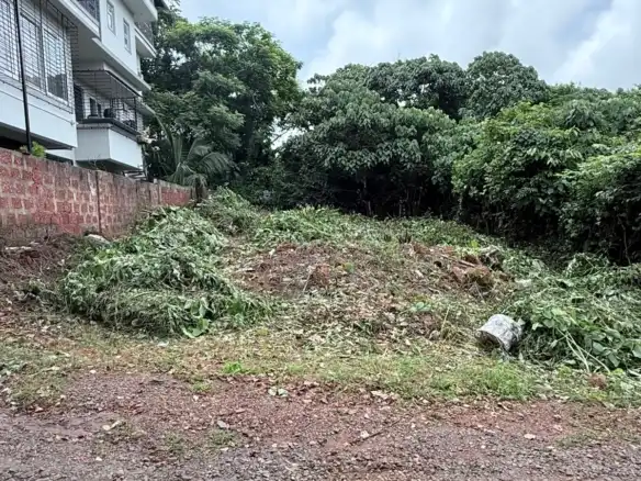 360 Sq. Yards Residential Plot for Sale in Candolim, Goa
