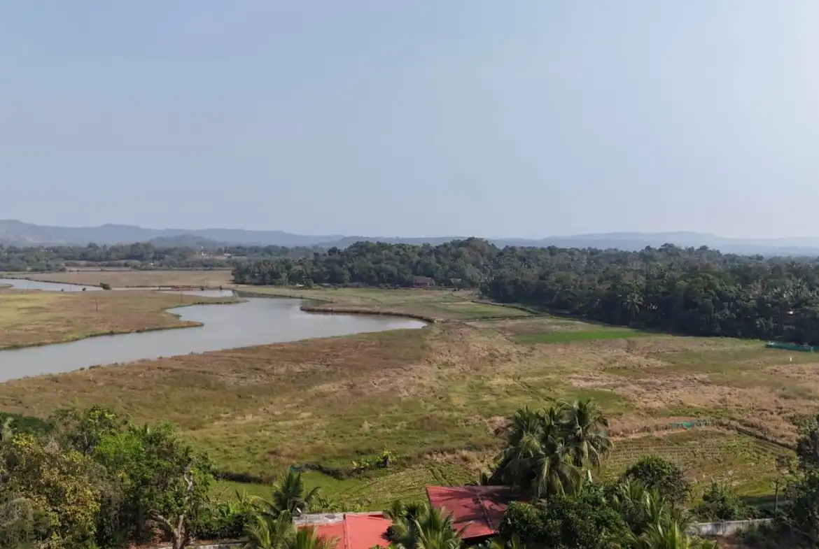 465 Sq. Meter Residential Plot for Sale in Candolim Goa