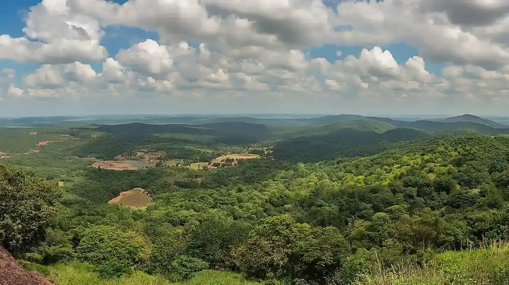 2,332 Sq. Yards Residential Land for Sale in Assagao