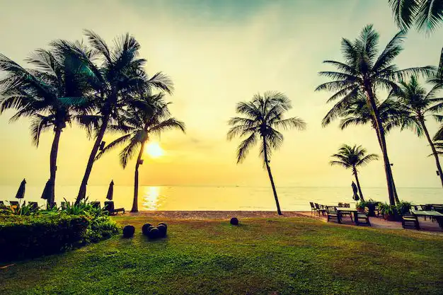 4,779 Sq. Yards Residential Land for Sale in Assagao